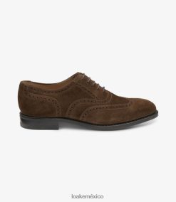 302 Loakebrogues ante marrón D0L4RX24