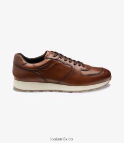 alentar Loakeentrenadores y zapatillas de deporte cedro D0L4RX38