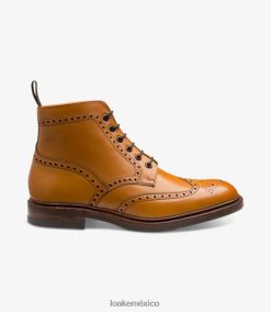 Burford Loakebotas broncearse D0L4RX128