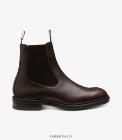 dingley Loakebotas marron oscuro D0L4RX82